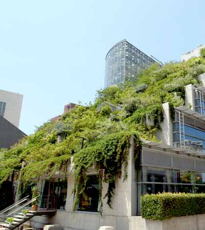 bioarchitettura