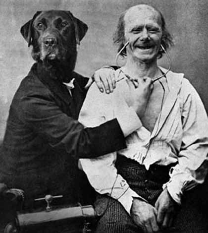 "Good vibrations" di CANI