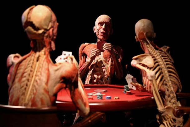 Body worlds