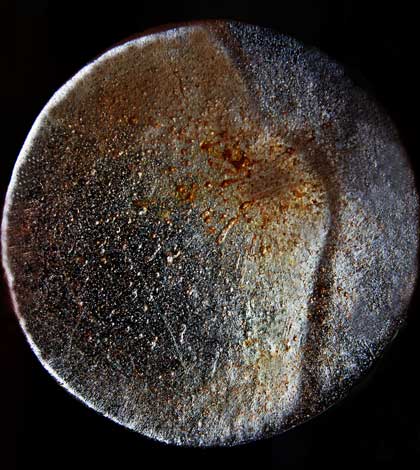 “Figura aqua – la Forma dell'Acqua”