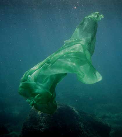 "Figura Aqua" CarolaDucoli.Torbido