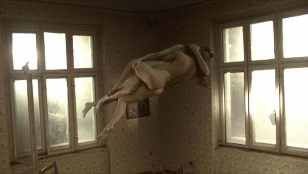 Onirica – Field of Dogs