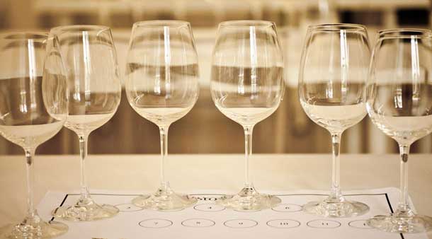Anteprima vini costa toscana