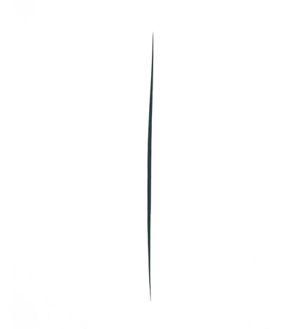 Fontana, Concetto spaziale