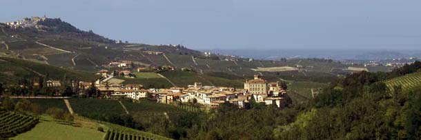 Barolo