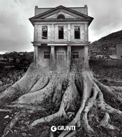 Cade la terra di Carmen Pellegrino