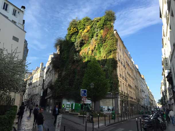 rue des Petits Carreaux
