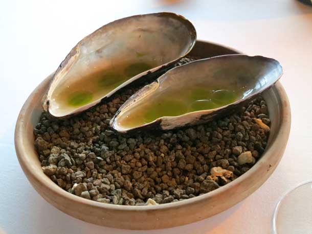 Horse Mussel_ph Fermata Spettacolo