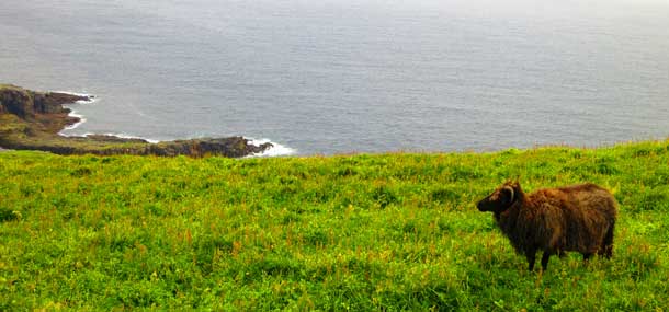 Mykines_pg Fermata Spettacolo