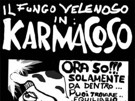 Karmacoso_copertina