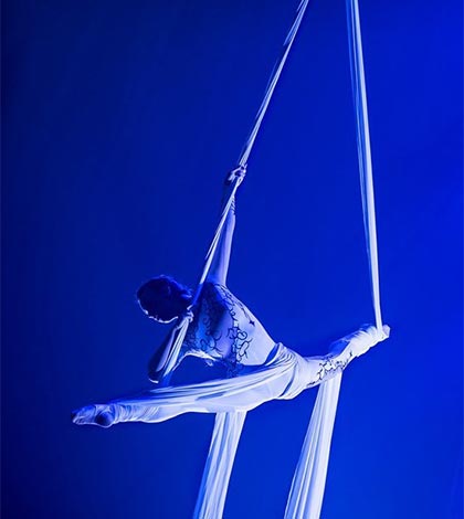 Alis di Le Cirque Alis di Le Cirque