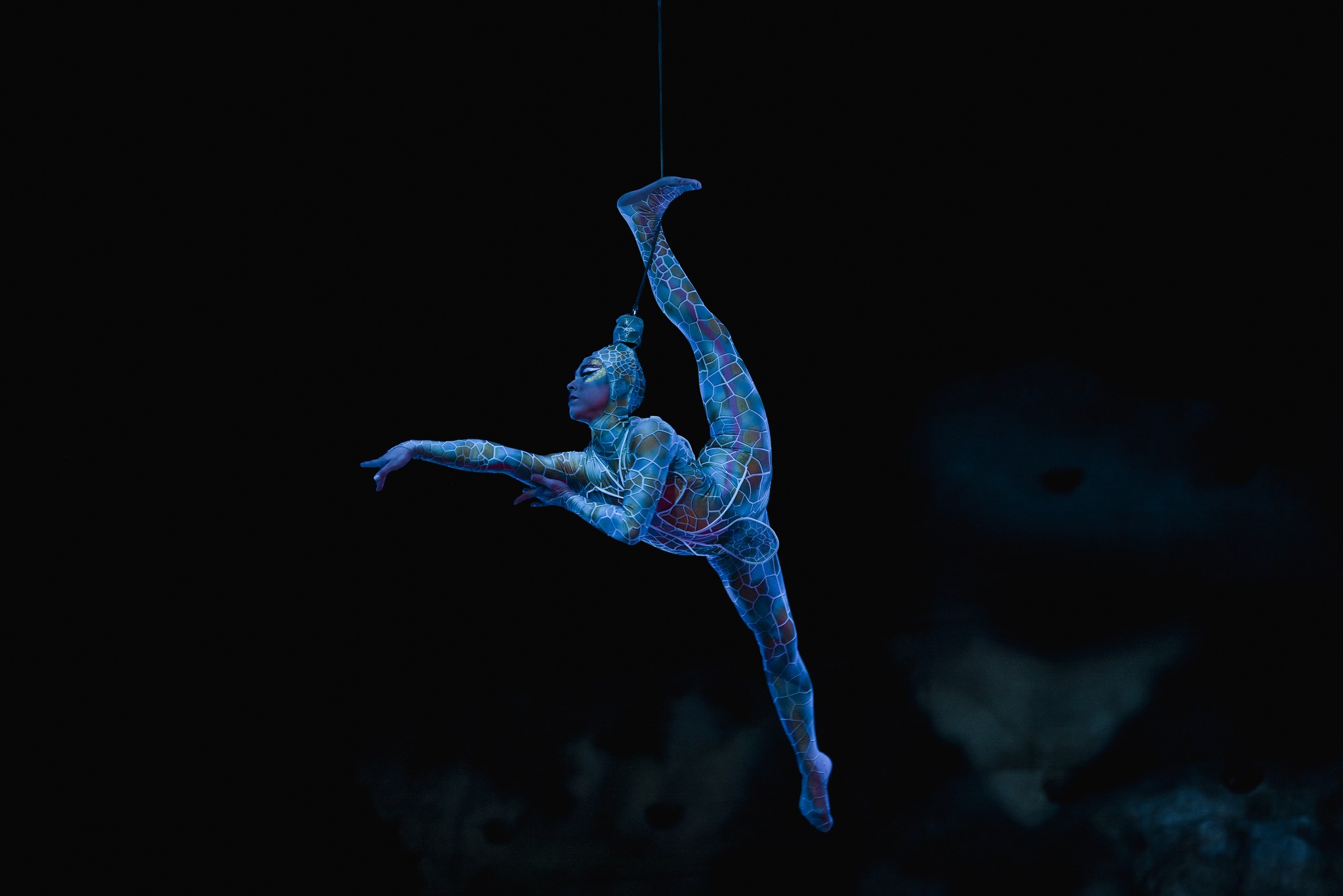 OVO - Cirque du Soleil