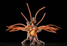 Back to Momix