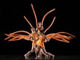 Back to Momix