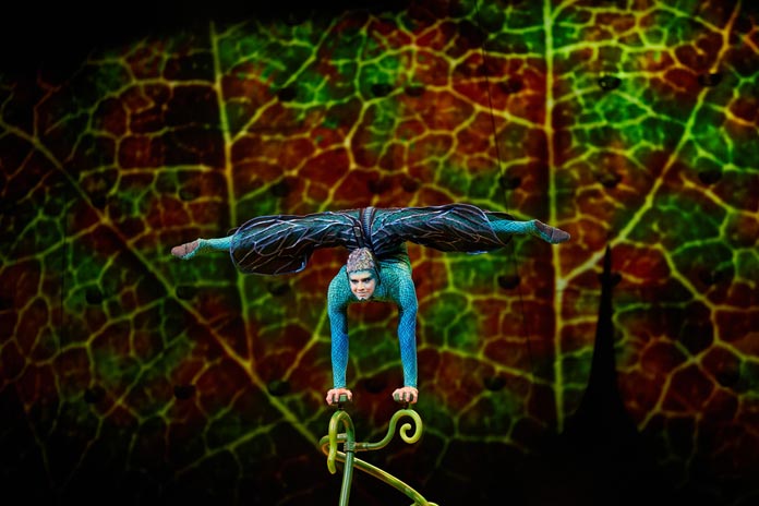 OVO - Cirque du Soleil