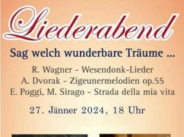Locandina Vienna