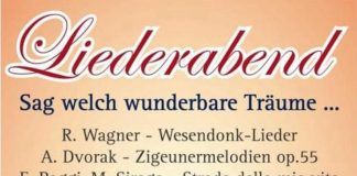 Locandina Vienna