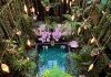 Jungle Pool © fermataspettacolo.it