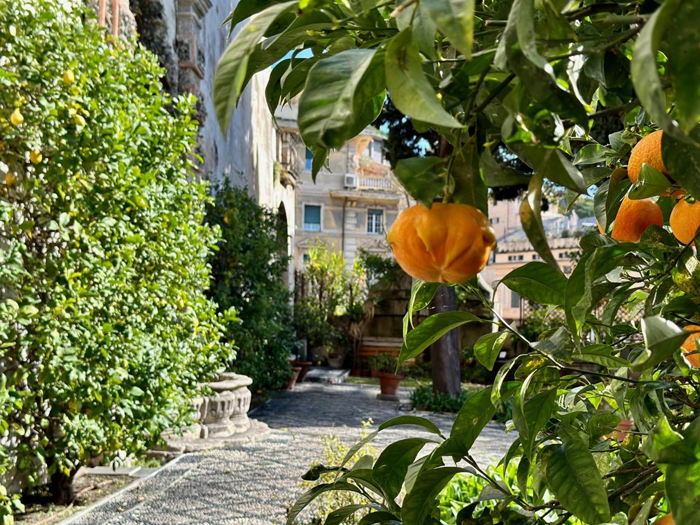 Il giardino segreto di Palazzo Lomellino