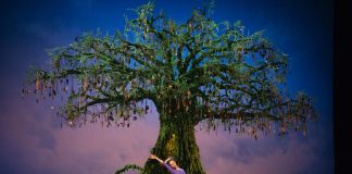 Francesca Hayward, The Winter's Tale ©2024 ROH. Ph Andrej Uspenski