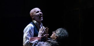 IL CASO JEKYLL | Centro Servizi Culturali S. Chiara di Trento (foto di Flavia Tartaglia)