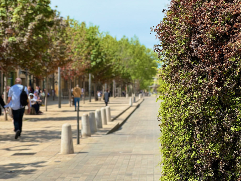 Cours Mirabeau © Fermata Spettacolo