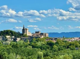 Avignon © Fermata Spettacolo