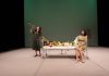 Darwin inconsolabile © La città del Teatro
