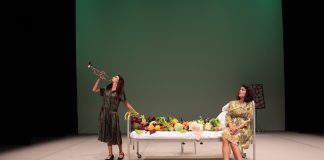 Darwin inconsolabile © La città del Teatro