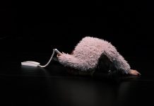 Giocasta ph Paolo Porto