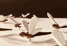 Deus sive natura ph di Maura Crudeli