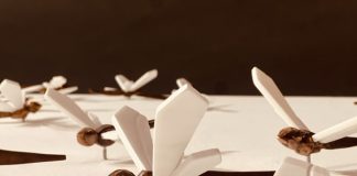 Deus sive natura ph di Maura Crudeli