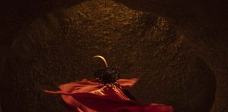 Le Sacre du Printemps