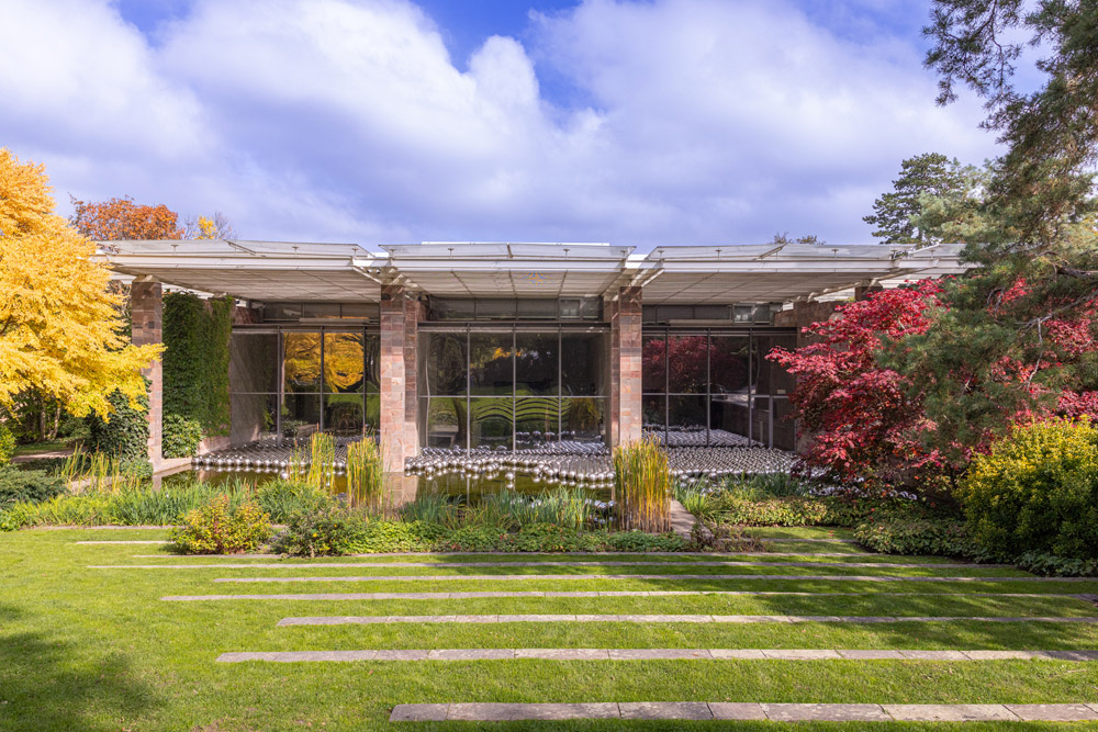 Installationsansicht «Yayoi Kusama», Fondation Beyeler, Riehen/Basel, 2025Narcissus Garden, 1966/2025 © YAYOI KUSAMA Foto: Matthias Willi