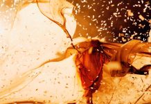 SLAVA’S SNOWSHOW © Veronique Vial