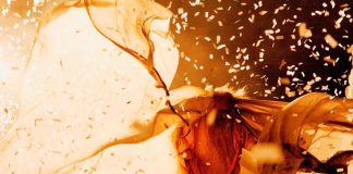 SLAVA’S SNOWSHOW © Veronique Vial