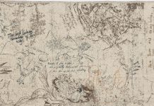 Il Tempo Crudo di Claudia Losi