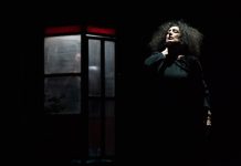 The Forest © Alfredo Toriello