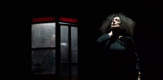 The Forest © Alfredo Toriello