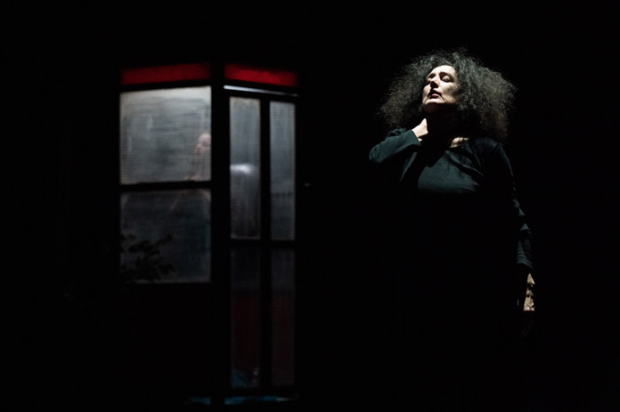 The Forest © Alfredo Toriello