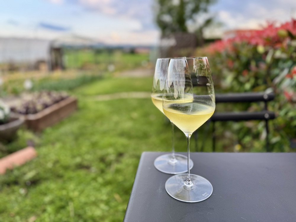 L'aperitivo nell'orto © Fermata Spettacolo