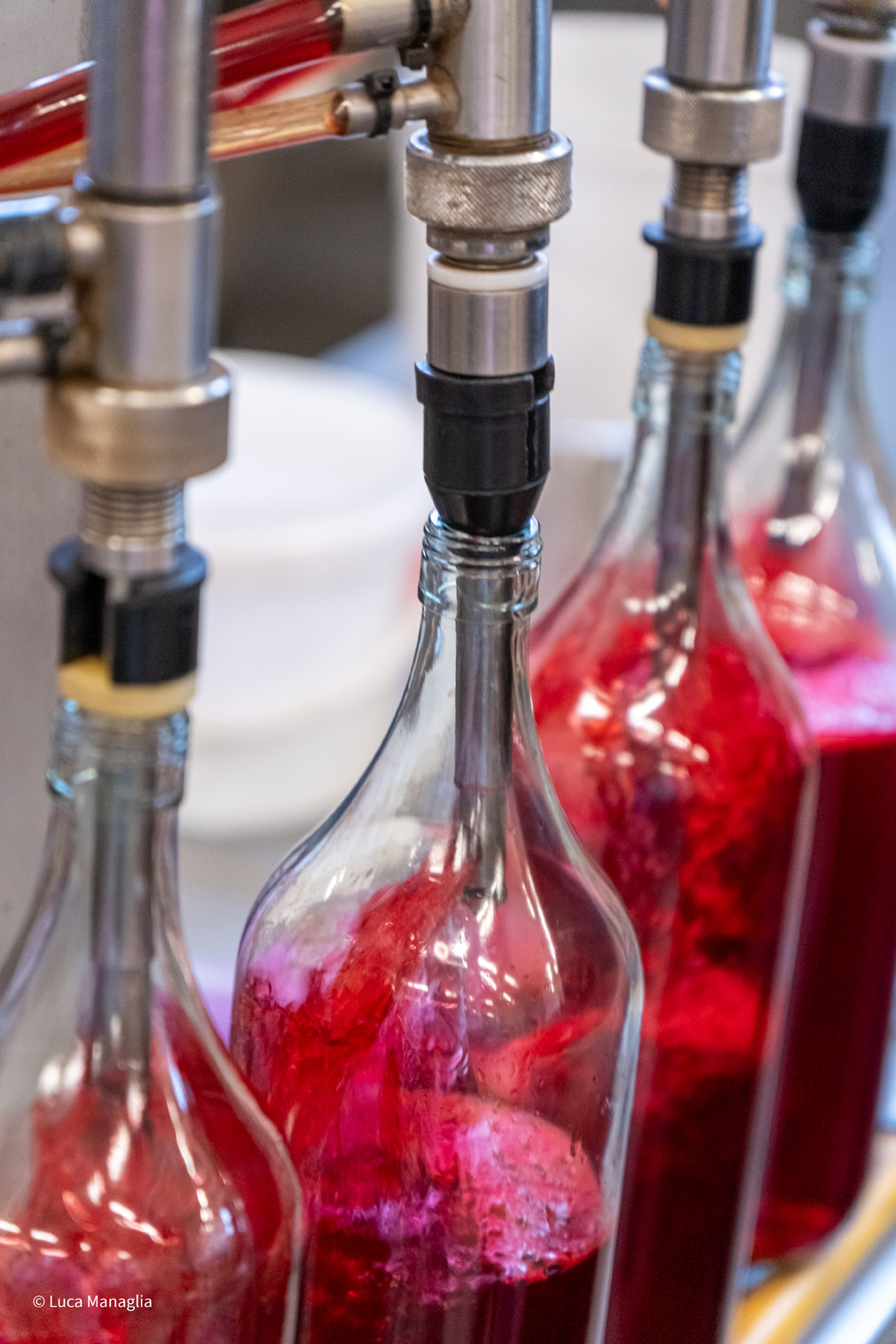 Liquorificio Morelli © Luca Managlia